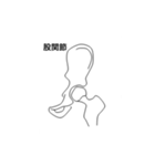 LINE de 解剖！話題の関節イラスト（個別スタンプ：3）