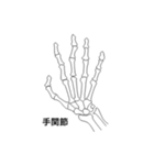 LINE de 解剖！話題の関節イラスト（個別スタンプ：4）