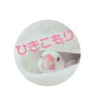 あざとい文鳥スタンプ（個別スタンプ：5）