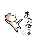 にゃんの日常 1（個別スタンプ：16）