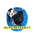 キンの幸せ（個別スタンプ：1）