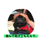 キンの幸せ（個別スタンプ：3）