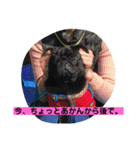 キンの幸せ（個別スタンプ：4）