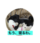 キンの幸せ（個別スタンプ：5）