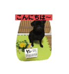 キンの幸せ（個別スタンプ：6）