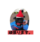 キンの幸せ（個別スタンプ：7）