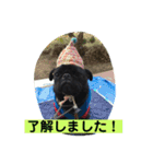 キンの幸せ（個別スタンプ：8）