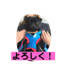 キンの幸せ（個別スタンプ：9）