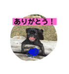 キンの幸せ（個別スタンプ：10）