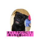 キンの幸せ（個別スタンプ：16）
