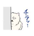 ザ・ビューティフル・ピーポー（個別スタンプ：40）