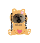 ポメラニアン  NEMURI（個別スタンプ：27）