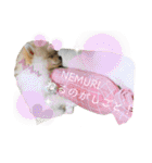 ポメラニアン  NEMURI（個別スタンプ：28）