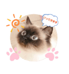 ひめまる☆スタンプ（個別スタンプ：2）