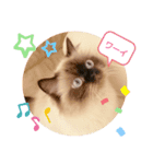 ひめまる☆スタンプ（個別スタンプ：4）