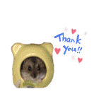 家のハムちゃん（個別スタンプ：16）