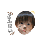 KaaRaiStamp（個別スタンプ：15）