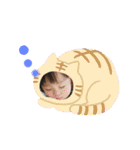 KaaRaiStamp（個別スタンプ：19）