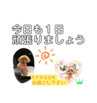 トイプー 萌娘にゃん 日常会話（個別スタンプ：14）