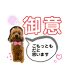 トイプー 萌娘にゃん 日常会話（個別スタンプ：16）