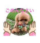 トイプー 萌娘にゃん 日常会話（個別スタンプ：28）