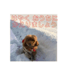 トイプー 萌娘にゃん 日常会話（個別スタンプ：32）
