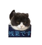 リリーいろいろ（個別スタンプ：2）