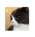 リリーいろいろ（個別スタンプ：4）