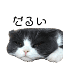 リリーいろいろ（個別スタンプ：10）