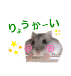 はなちゃんスタンプ♡♡（個別スタンプ：4）