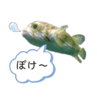 りくと  スタンプ（個別スタンプ：22）