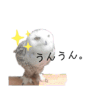 りくと  スタンプ（個別スタンプ：27）