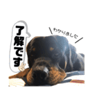 じゃる＆あな＆キズナ2（個別スタンプ：7）
