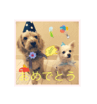 ミルククッキー（個別スタンプ：3）