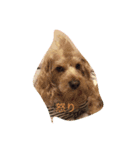ミルククッキー（個別スタンプ：8）