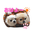 りくわかすたんぷwith  RT（個別スタンプ：9）