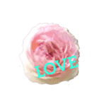 LoveRose（個別スタンプ：1）