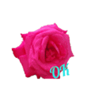 LoveRose（個別スタンプ：4）