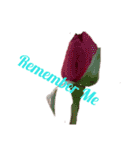 LoveRose（個別スタンプ：7）