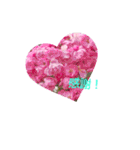 LoveRose（個別スタンプ：8）