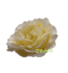 LoveRose（個別スタンプ：10）