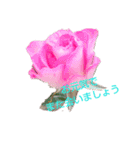 LoveRose（個別スタンプ：14）