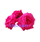 LoveRose（個別スタンプ：15）