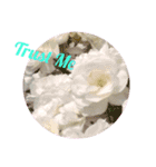 LoveRose（個別スタンプ：20）