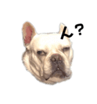iamhachi（個別スタンプ：2）