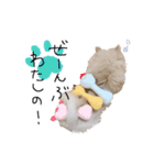 ころんです。（個別スタンプ：12）