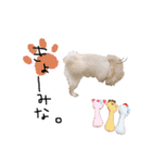 ころんです。（個別スタンプ：13）