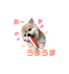 やんスタンプpart3（個別スタンプ：2）