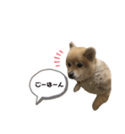 やんスタンプpart3（個別スタンプ：11）