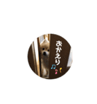 やんスタンプpart3（個別スタンプ：22）